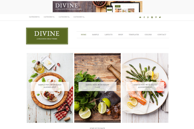 Your brand is simply Divine and we think you should have the theme that shows it! Our Divine theme is excellent for websites that feature multiple content categories or various products and services. Use the home page widget areas to organize content from your most popular categories. Guide your reader through the content that they really want to see by merging design with organization. With this theme, your customer's experience will be just as Divine as your site design.